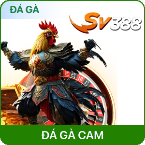 DỮ LIỆU 12BET
