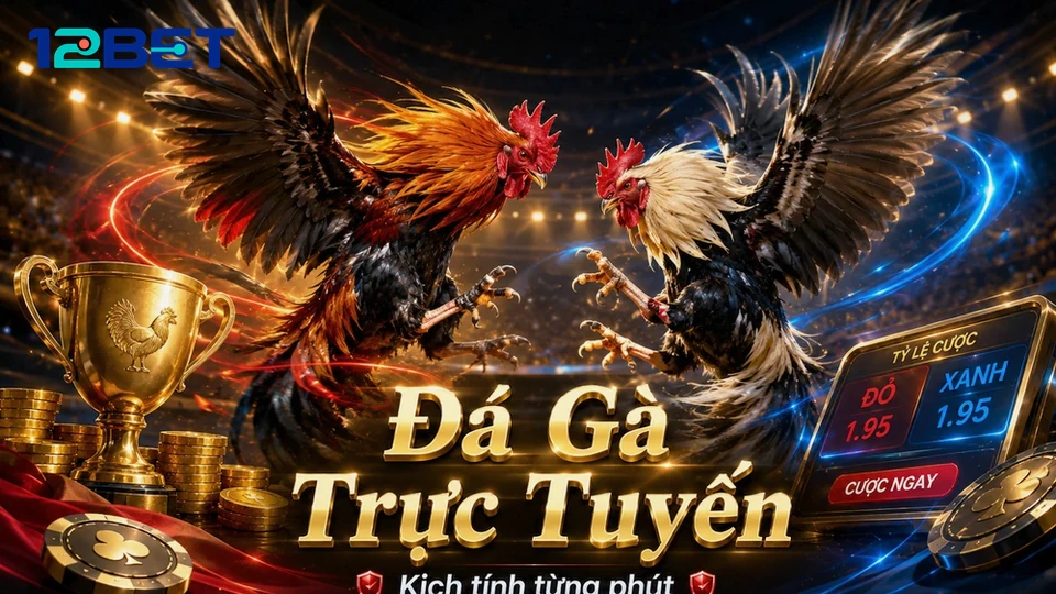 Đá Gà Trực Tuyến 12BET Tại 12betvn.info: Đọc Chi Tiết Giao Diện, Lịch Sử Cược Và Thông Báo Hệ Thống Để Quản Lý Phiên Chơi – Góc Kiểm Chứng Theo Tên Miền
